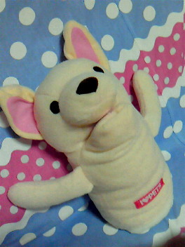c0066080_2314679.jpg
