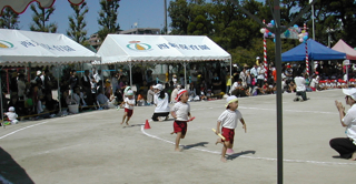 a0091181_196611.jpg