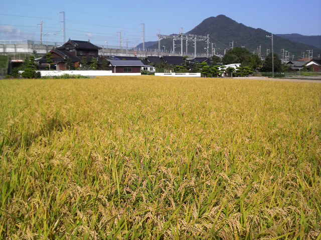 f0192582_2149407.jpg