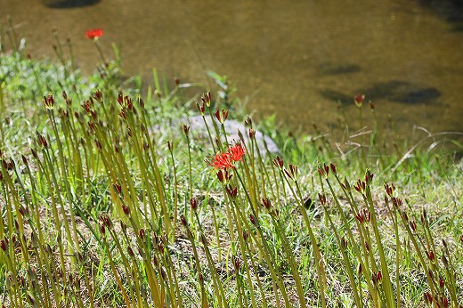 e0190885_188351.jpg