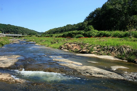e0190885_189315.jpg