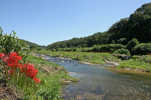 e0190885_189928.jpg