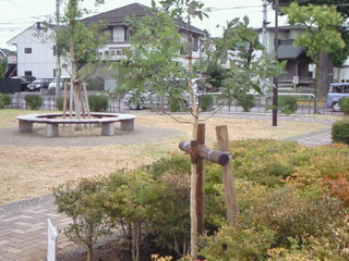 e0017290_16252951.jpg