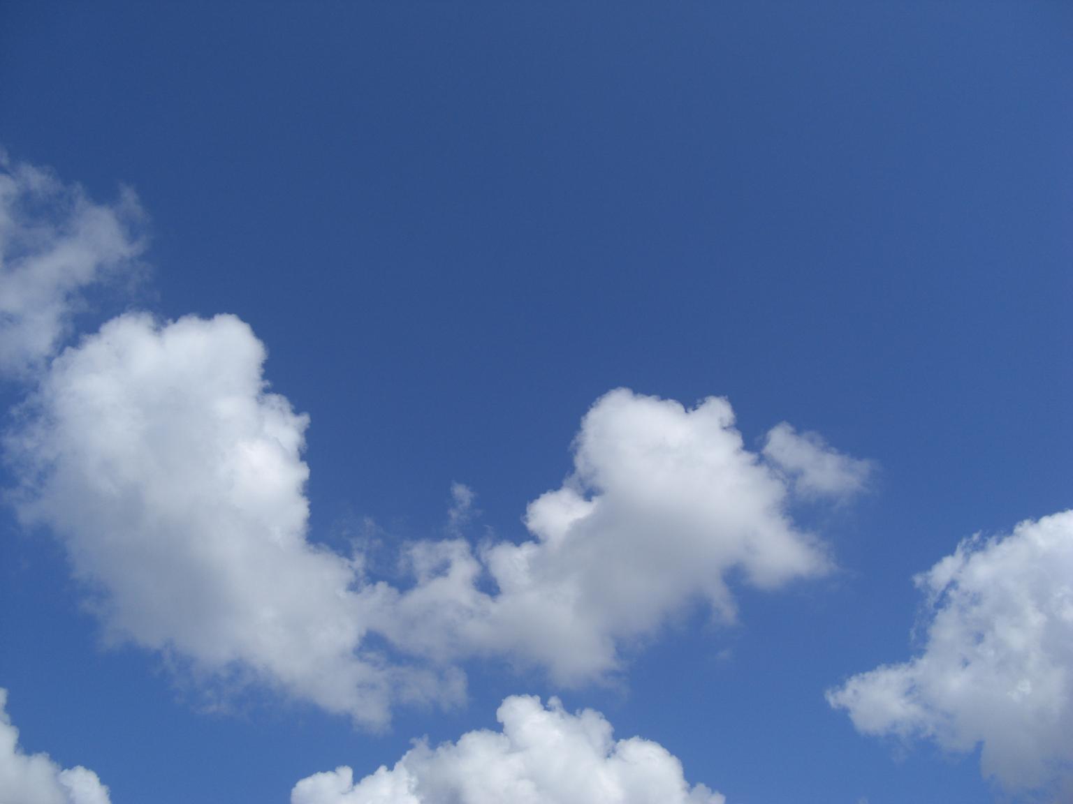 f0131491_1328253.jpg
