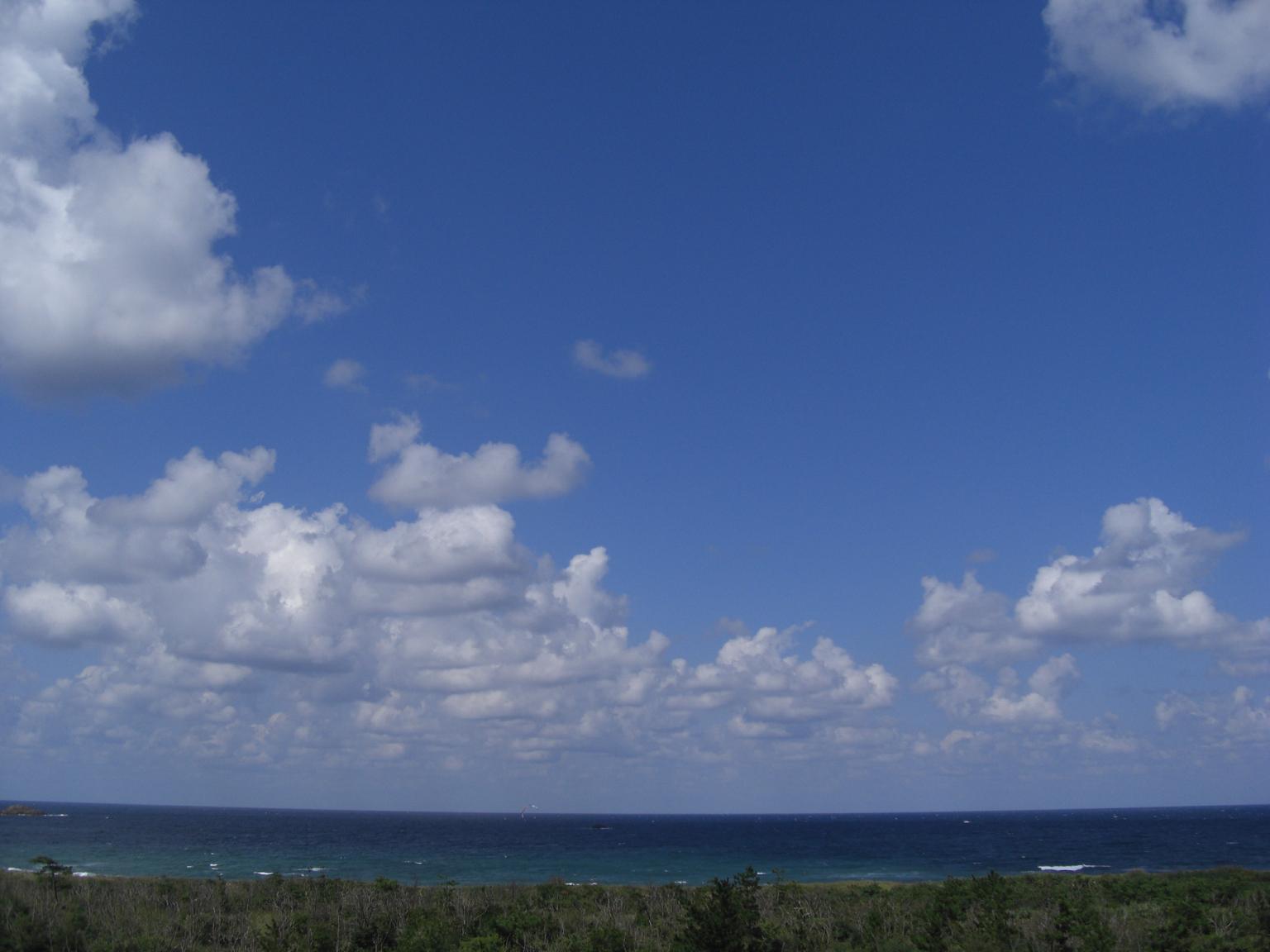 f0131491_1328937.jpg
