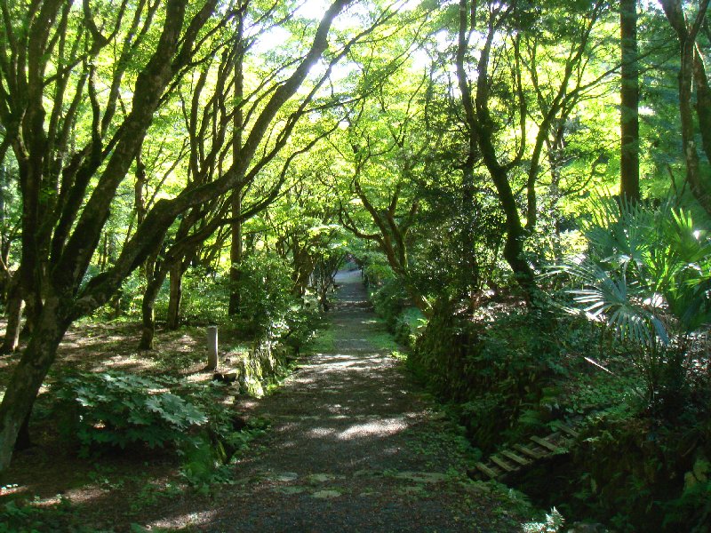 e0111793_152759100.jpg