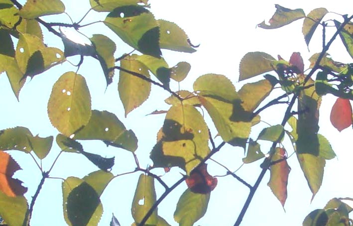 b0099994_1241418.jpg