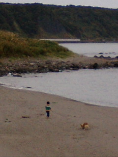 f0200795_16551364.jpg