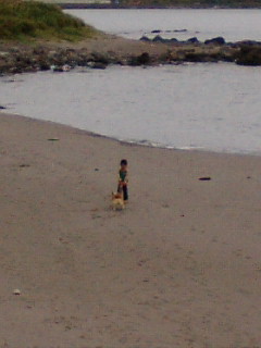 f0200795_16553416.jpg