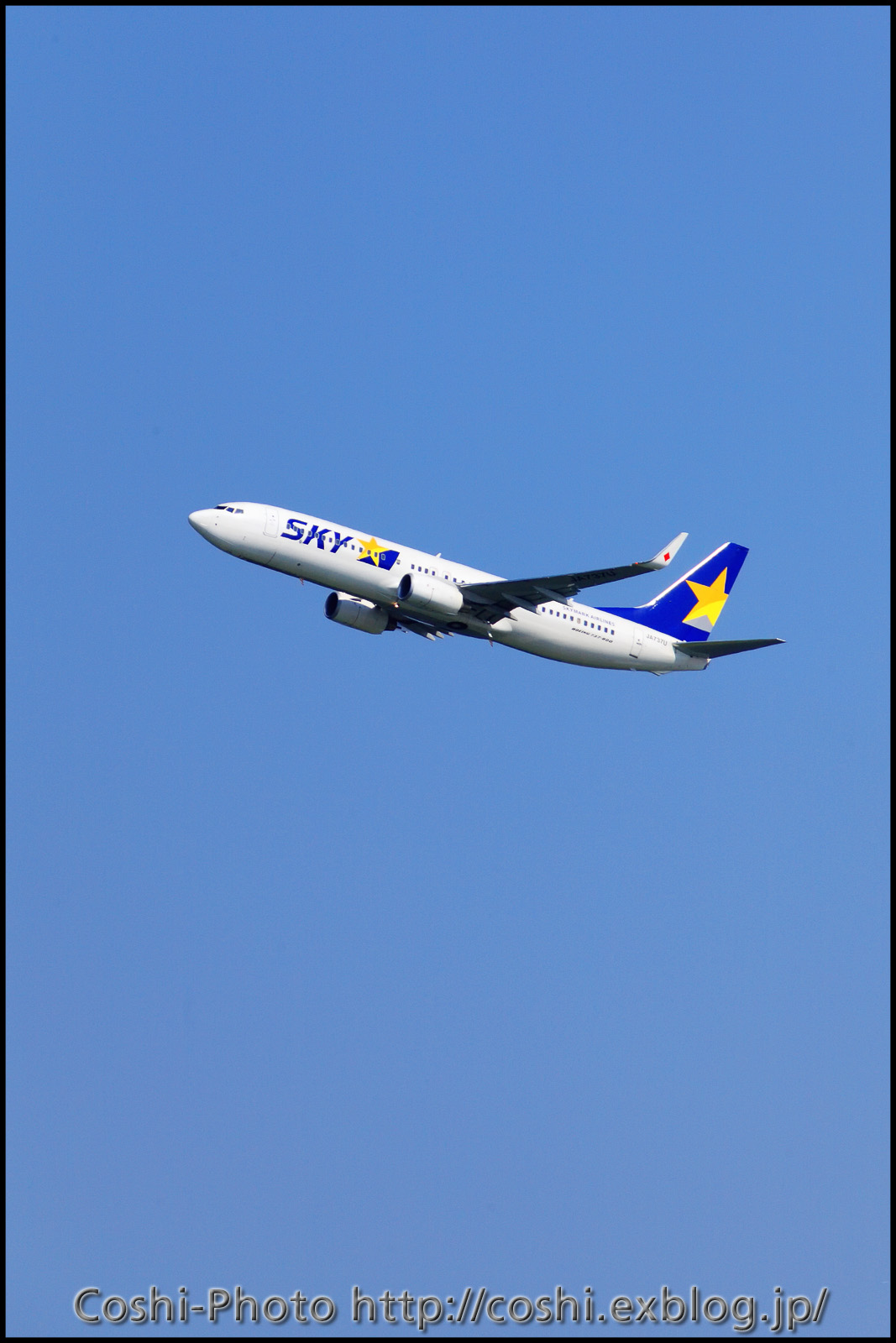 a0110096_8594439.jpg