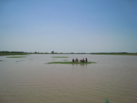 c0208296_1256569.jpg