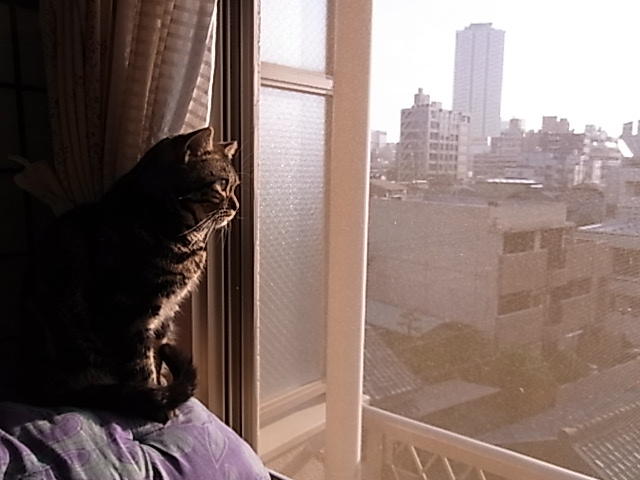 f0137098_23234031.jpg