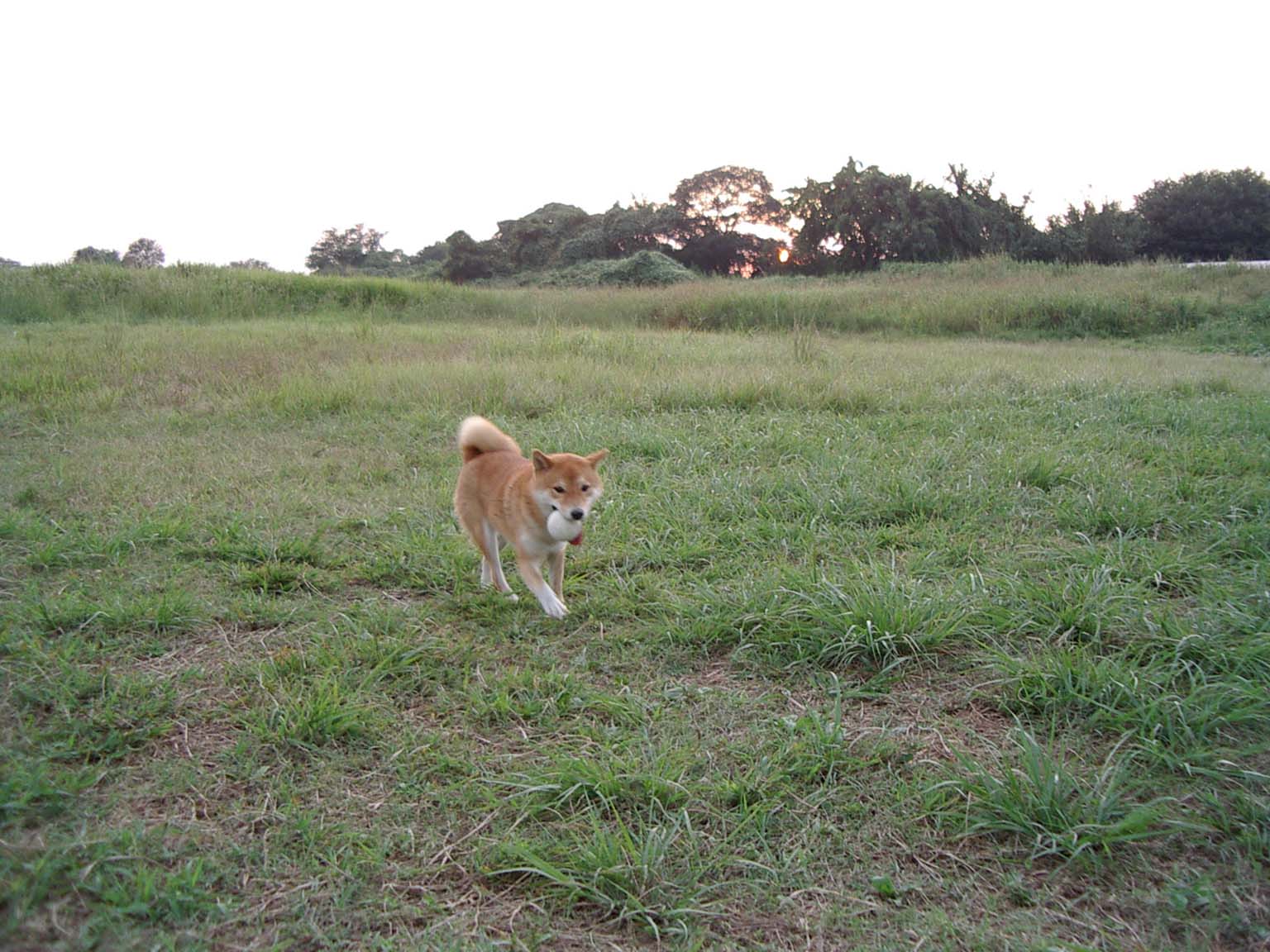 a0133999_2311367.jpg