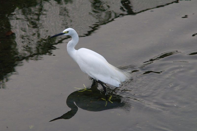 c0187503_21374972.jpg