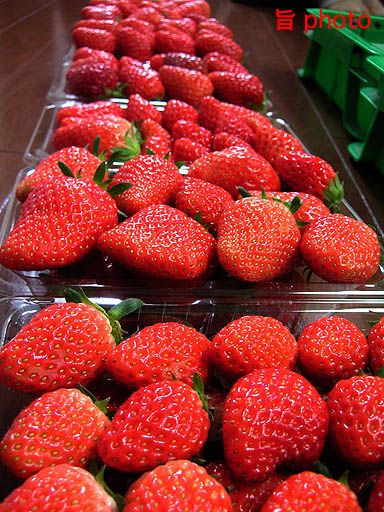 b0061004_4171858.jpg