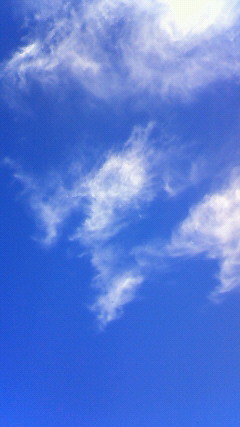 c0017505_1652452.jpg