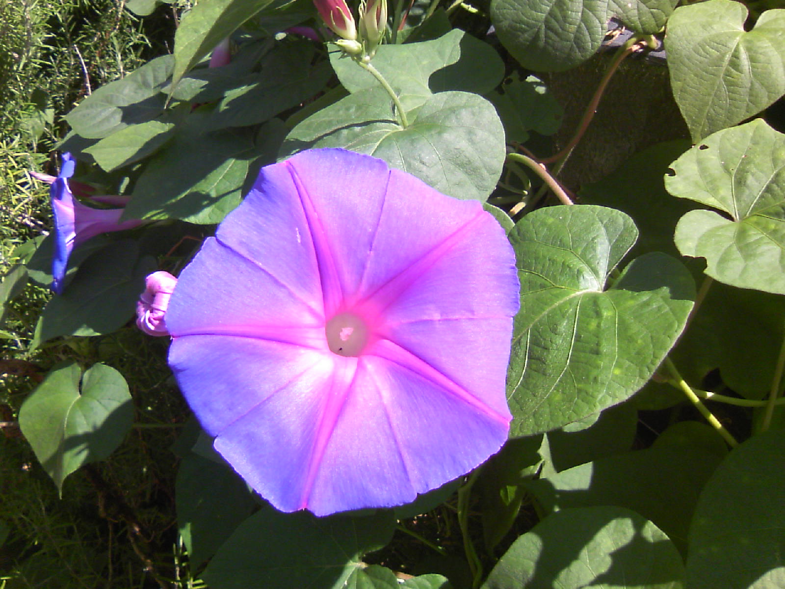 b0009106_2281334.jpg