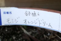 c0190010_22201698.jpg