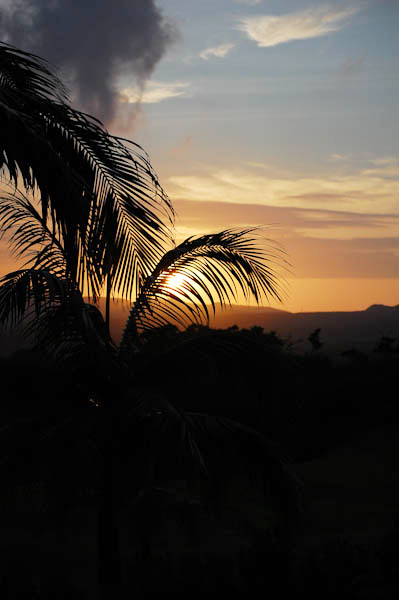 b0150811_3503461.jpg