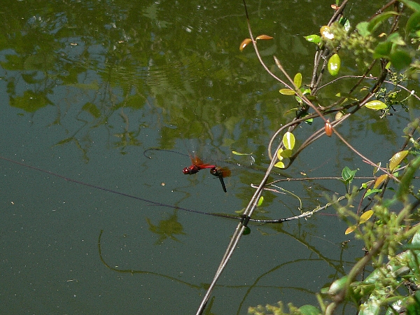 e0002314_23261088.jpg