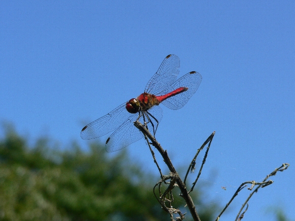 e0002314_23265344.jpg