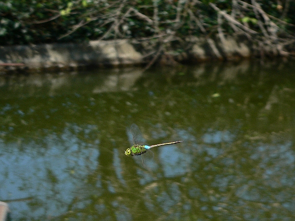 e0002314_23291714.jpg