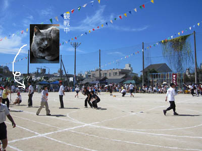 e0156015_12332315.jpg