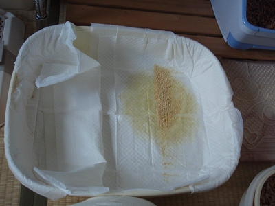 c0145016_8223536.jpg