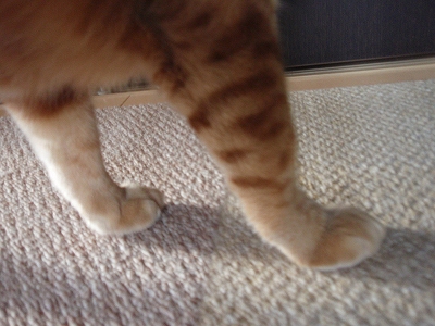 c0145016_822898.jpg