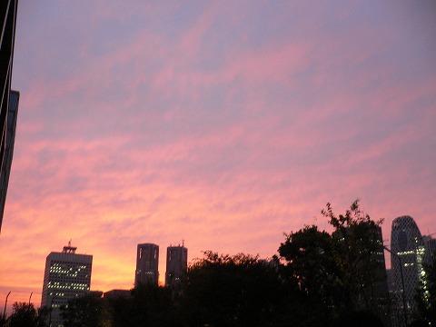 f0117618_0201687.jpg