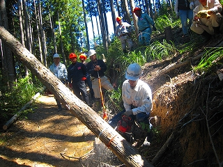 e0002820_22243861.jpg