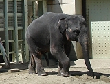 f0200221_2363549.jpg
