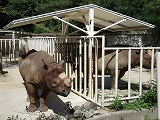 f0200221_2373512.jpg