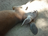 f0200221_2383390.jpg