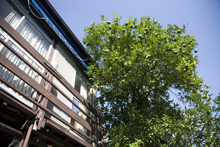 c0182022_21421673.jpg