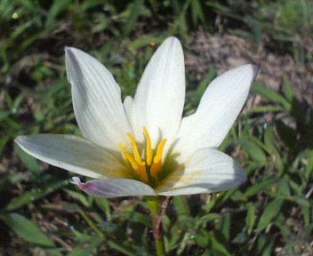 f0036223_17585319.jpg