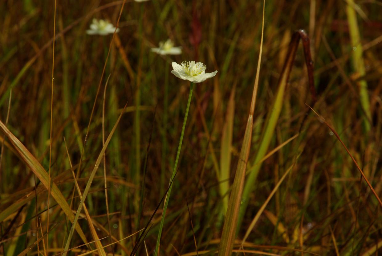 b0062024_6373083.jpg