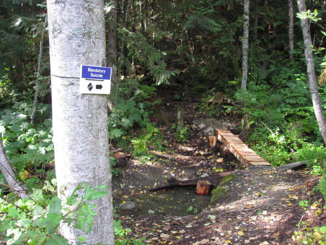 e0002927_17525133.jpg