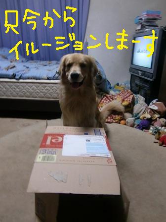 f0176830_2161632.jpg