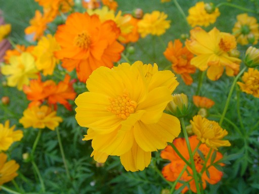 f0002833_23265536.jpg