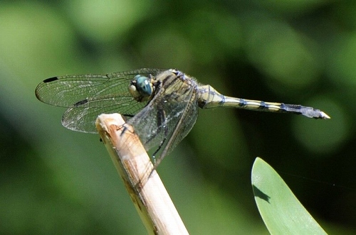 a0017634_21364294.jpg