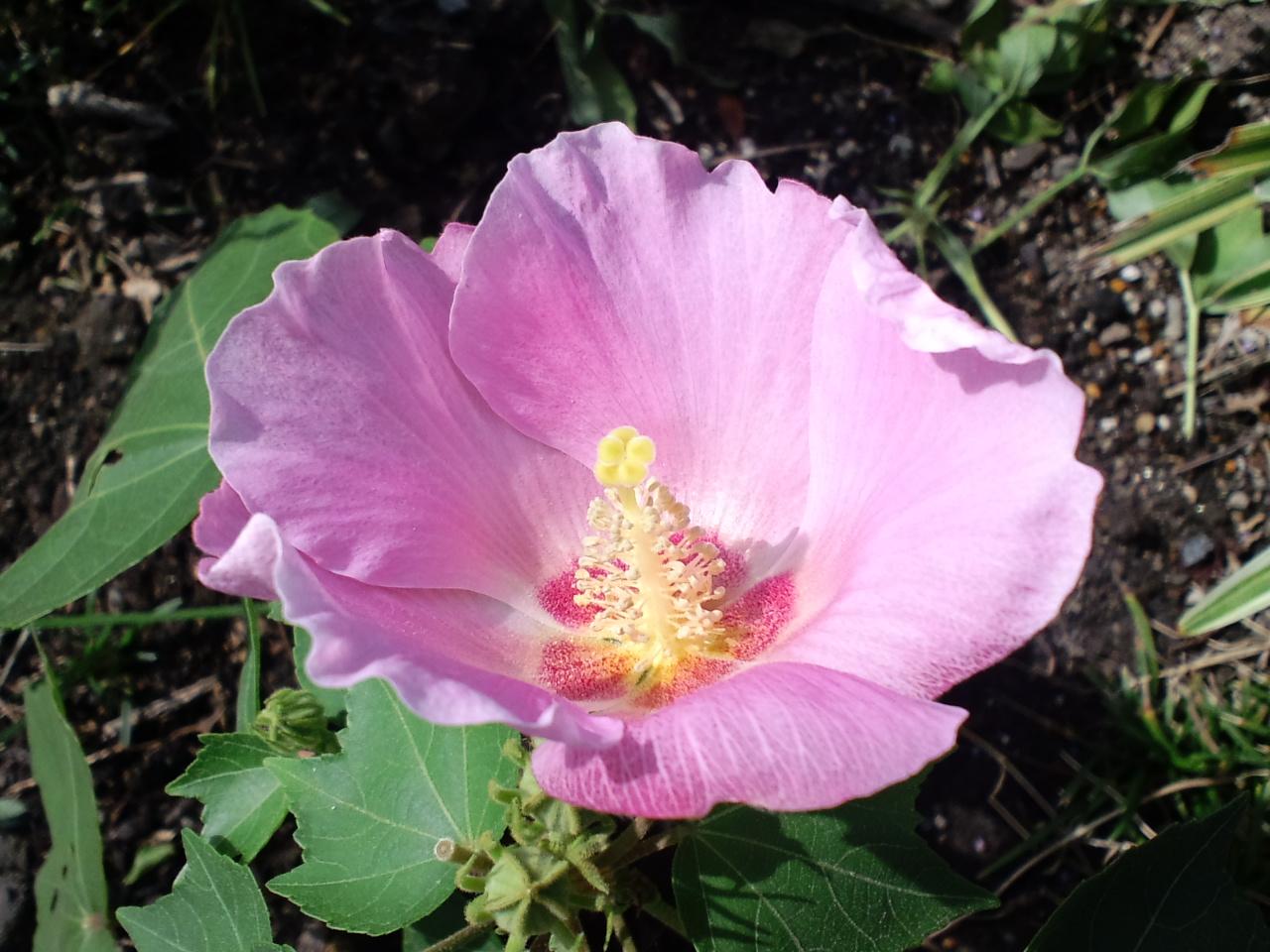 b0076739_2341137.jpg