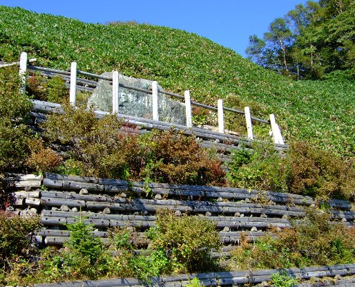 b0149340_21163747.jpg