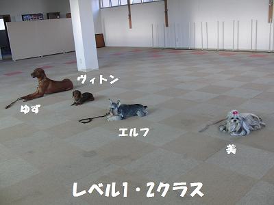 f0186040_20344184.jpg