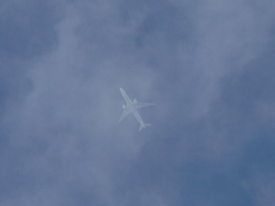 c0119142_041956.jpg