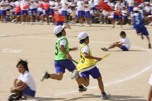 d0135242_9115437.jpg