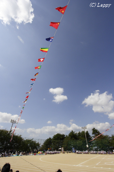 d0135242_935452.jpg