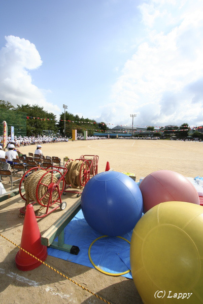 d0135242_964556.jpg