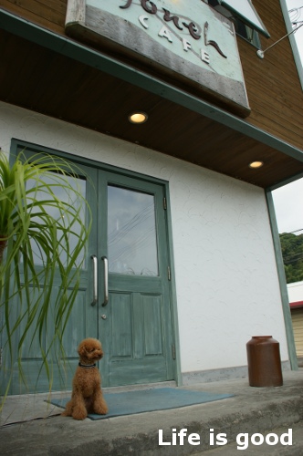 b0140347_22131320.jpg