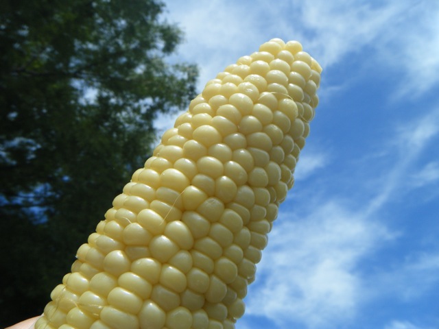 c0190847_9543466.jpg